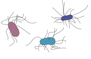 Icons_Projekttag-KirbyBauer