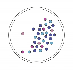 Icons_Projekttag-Kolonie