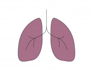 Icons_Projekttag-Lungenfunktion